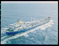 W-13065 D.tif