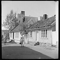FA1073UaL0001-151.tif