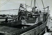 A1029UL0001112_a_1.tif