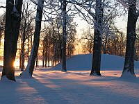 IMG_6885.JPG