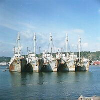 FA1055UeabL0010-2213D.tif