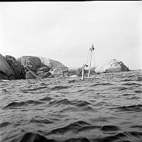 USB-0783-Tommy forlis ved Holtskjær 1958.tif