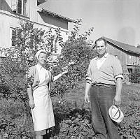 FA1055UeabL0007-0938 56a.tif