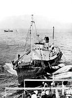 Fs.04225.JPG