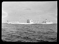 B-6194.tif