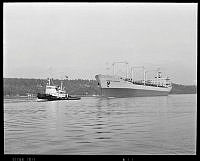 W-21061 F.tif