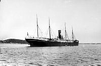 A-01558 Hvalkokeri HEKTORIA.jpg