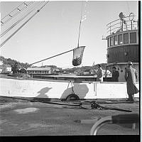 USB-0755-Levende fisk til Sandefjord 1955.tif