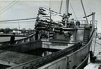 A1029UL0001112_a_1.tif