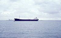 Fs.21301.tif