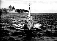 Fs.03102.jpg