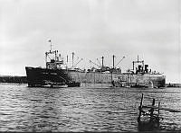 Fs.01082.tif
