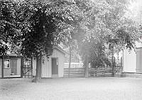 Anders Høien.615.tif