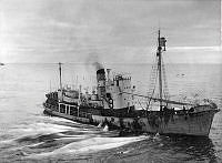 Fs.04243.tif