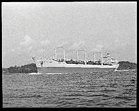 W-21061 C.tif