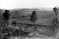 Osebergskipet. Foto O. Væring - 10.1.tif