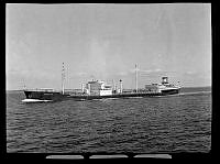 B-6213-a.tif