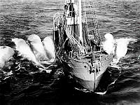 Fs.03103.JPG