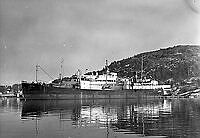 FA1055UeabL0009-1722.tif