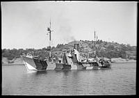F.M.V 891-16 A.tif