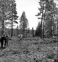 FA1055UeabL0007-0938 62.tif