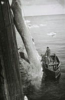 Fs.01669 (2).JPG
