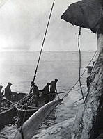 Fs.01674 (2).JPG