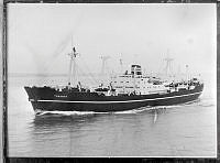 W-05602 A.tif