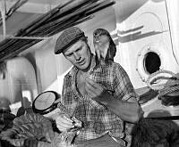 Hvalkokeriet BALAENA - Fotograf Peder Stangebye (1).JPG