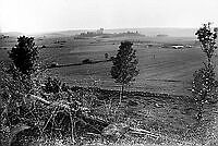 Osebergskipet. Foto O. Væring - 10.1.tif