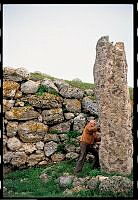 HEYERDAHL 04-238.jpg
