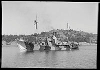 F.M.V 891-16.tif