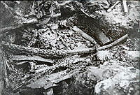 Osebergskipet. Foto O. Væring - 03.tif