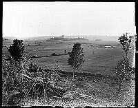 Osebergskipet. Foto O. Væring - 10.tif