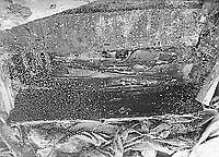 A-08111 - Osebergskipet. Foto O. Væring.tif