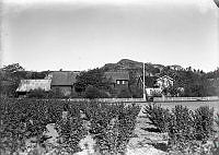 FA1055UeabL0005-0565A (2).tif