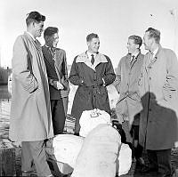 Hvalkokeriet BALAENA - Fotograf Peder Stangebye (5).JPG