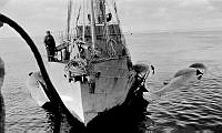 Fs.01605.jpg