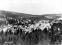 NJM BergerFI 178.tif