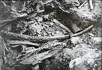 Osebergskipet. Foto O. Væring - 03.tif