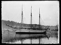 B-7683.tif