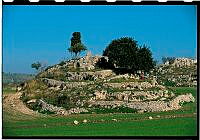 HEYERDAHL 04-248.jpg