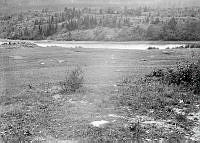 Anders Høien.604.tif