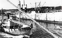 Fs.04229.tif