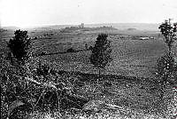 Osebergskipet. Foto O. Væring - 10.1.tif