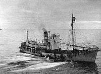 Fs.04243.tif