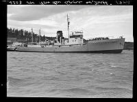 B-3732.tif