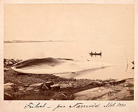 VF.04880.tif